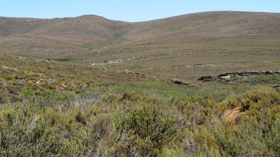 Commercial Property for Sale in Montagu Rural Western Cape